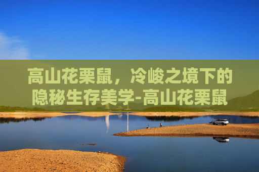 高山花栗鼠,冷峻之境下的隐秘生存美学-高山花栗鼠魔兽世界 高山花栗鼠,冷峻之境下的隐秘生存美学-高山花栗鼠魔兽世界