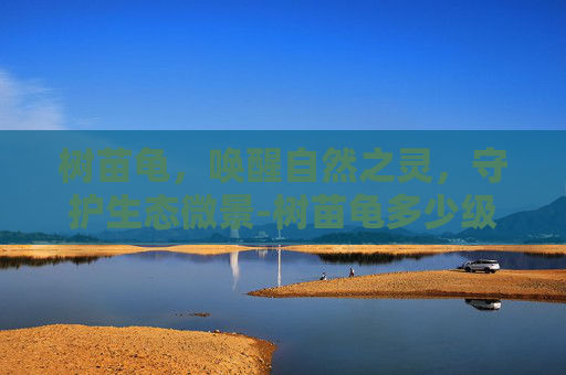 树苗龟,唤醒自然之灵,守护生态微景-树苗龟多少级进化 树苗龟,唤醒自然之灵,守护生态微景-树苗龟多少级进化