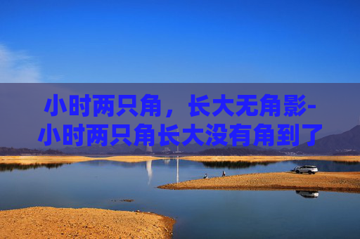 小时两只角,长大无角影-小时两只角长大没有角到了二十多又生两只角谜底是什么 小时两只角,长大无角影-小时两只角长大没有角到了二十多又生两只角谜底是什么