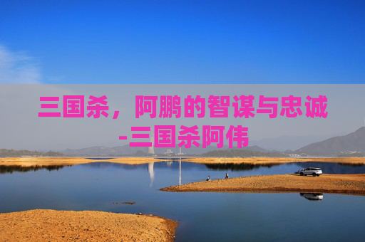 三国杀,阿鹏的智谋与忠诚-三国杀阿伟 三国杀,阿鹏的智谋与忠诚-三国杀阿伟