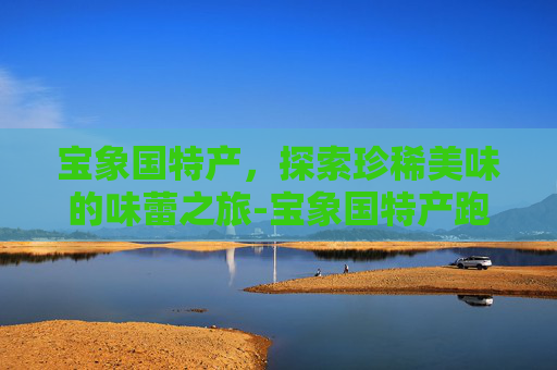 宝象国特产，探索珍稀美味的味蕾之旅-宝象国特产跑商路线