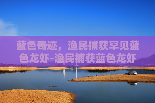 蓝色奇迹，渔民捕获罕见蓝色龙虾-渔民捕获蓝色龙虾视频