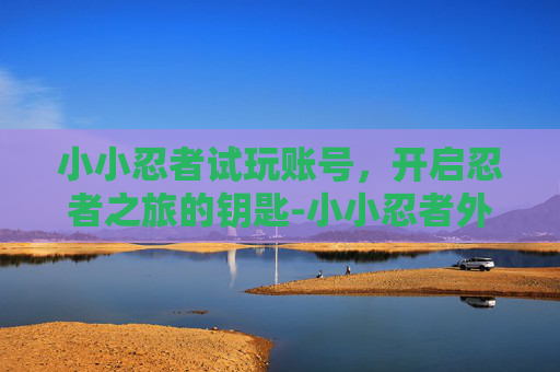 小小忍者试玩账号，开启忍者之旅的钥匙-小小忍者外服