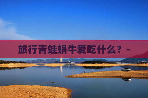 旅行青蛙蜗牛爱吃什么?- 旅行青蛙蜗牛爱吃什么?-