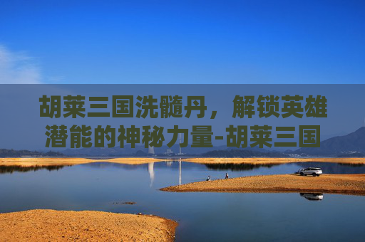 胡莱三国洗髓丹，解锁英雄潜能的神秘力量-胡莱三国洗精伐髓多少级满
