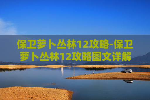 保卫萝卜丛林12攻略-保卫萝卜丛林12攻略图文详解 保卫萝卜丛林12攻略-保卫萝卜丛林12攻略图文详解