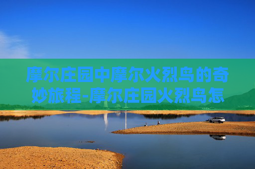 摩尔庄园中摩尔火烈鸟的奇妙旅程-摩尔庄园火烈鸟怎么打