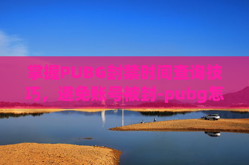 掌握PUBG封禁时间查询技巧,避免账号被封-pubg怎么查询封禁时间 掌握PUBG封禁时间查询技巧,避免账号被封-pubg怎么查询封禁时间