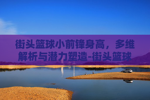 街头篮球小前锋身高,多维解析与潜力塑造-街头篮球小前锋身高多少好 街头篮球小前锋身高,多维解析与潜力塑造-街头篮球小前锋身高多少好