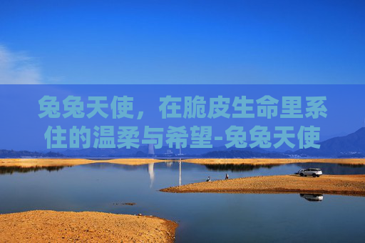 兔兔天使,在脆皮生命里系住的温柔与希望-兔兔天使儿歌 兔兔天使,在脆皮生命里系住的温柔与希望-兔兔天使儿歌