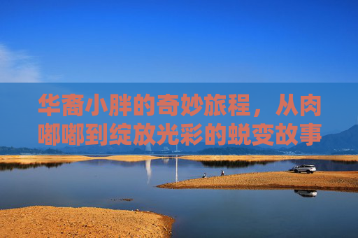 华裔小胖的奇妙旅程,从肉嘟嘟到绽放光彩的蜕变故事-华裔小胖子是什么美剧 华裔小胖的奇妙旅程,从肉嘟嘟到绽放光彩的蜕变故事-华裔小胖子是什么美剧