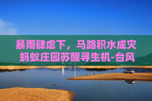 暴雨肆虐下，马路积水成灾 蚂蚁庄园苏醒寻生机-台风暴雨马路上积水很深是洪水吗