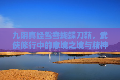 九阴真经鸳鸯蝴蝶刀鞘,武侠修行中的意境之境与精神内核-九阴真经鸳鸯刀法 九阴真经鸳鸯蝴蝶刀鞘,武侠修行中的意境之境与精神内核-九阴真经鸳鸯刀法
