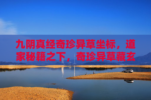 九阴真经奇珍异草坐标,道家秘籍之下,奇珍异草藏玄机-九阴真经奇珍异草位置 九阴真经奇珍异草坐标,道家秘籍之下,奇珍异草藏玄机-九阴真经奇珍异草位置