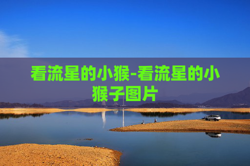 看流星的小猴-看流星的小猴子图片 看流星的小猴-看流星的小猴子图片