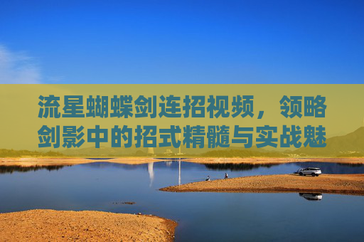 流星蝴蝶剑连招视频,领略剑影中的招式精髓与实战魅力-流星蝴蝶剑连招视频百度云 流星蝴蝶剑连招视频,领略剑影中的招式精髓与实战魅力-流星蝴蝶剑连招视频百度云