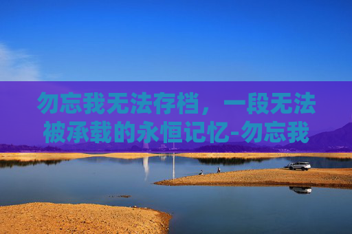 勿忘我无法存档，一段无法被承载的永恒记忆-勿忘我不能存档