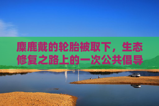 麋鹿戴的轮胎被取下,生态修复之路上的一次公共倡导-麋鹿戴的轮胎被取下会怎么样 麋鹿戴的轮胎被取下,生态修复之路上的一次公共倡导-麋鹿戴的轮胎被取下会怎么样