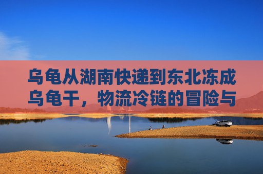 乌龟从湖南快递到东北冻成乌龟干,物流冷链的冒险与现实的悲剧-快递乌龟到家后步骤 乌龟从湖南快递到东北冻成乌龟干,物流冷链的冒险与现实的悲剧-快递乌龟到家后步骤