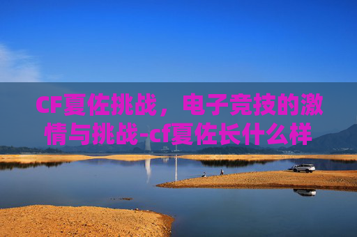 CF夏佐挑战，电子竞技的激情与挑战-cf夏佐长什么样子