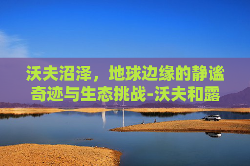 沃夫沼泽,地球边缘的静谧奇迹与生态挑战-沃夫和露西海滩 沃夫沼泽,地球边缘的静谧奇迹与生态挑战-沃夫和露西海滩