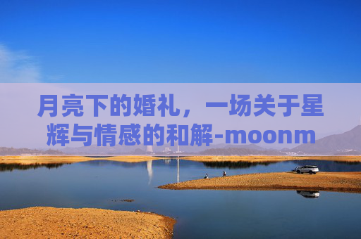 月亮下的婚礼,一场关于星辉与情感的和解-moonmoon结婚音译 月亮下的婚礼,一场关于星辉与情感的和解-moonmoon结婚音译