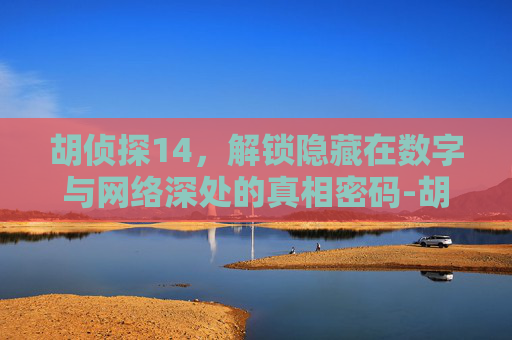 胡侦探14，解锁隐藏在数字与网络深处的真相密码-胡侦探14攻略