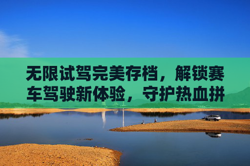 无限试驾完美存档，解锁赛车驾驶新体验，守护热血拼搏之旅-无限试驾完美存档版