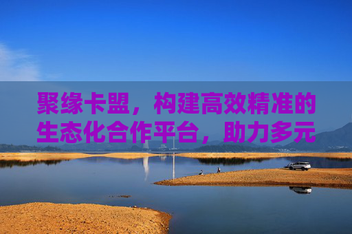 聚缘卡盟，构建高效精准的生态化合作平台，助力多元收益与共赢发展-聚轩卡盟