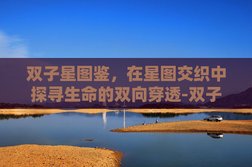 双子星图鉴，在星图交织中探寻生命的双向穿透-双子星图鉴黑白