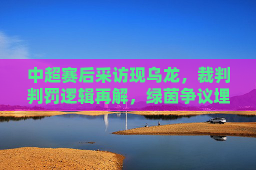中超赛后采访现乌龙，裁判判罚逻辑再解，绿茵争议埋下新思考-中超赛后看台冲突