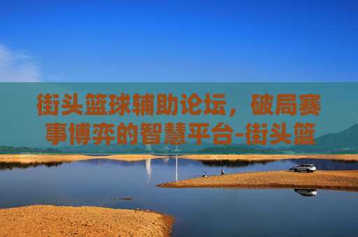 街头篮球辅助论坛，破局赛事博弈的智慧平台-街头篮球辅助论坛官网