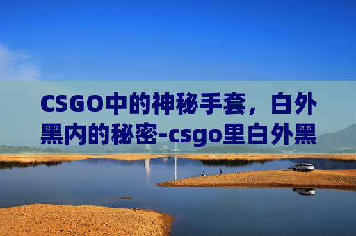 CSGO中的神秘手套,白外黑内的秘密-csgo里白外黑的手套叫什么 CSGO中的神秘手套,白外黑内的秘密-csgo里白外黑的手套叫什么