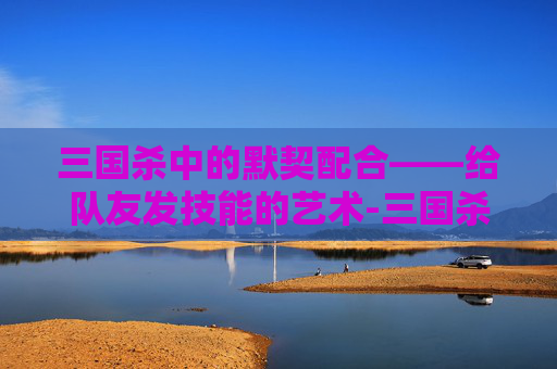 三国杀中的默契配合——给队友发技能的艺术-三国杀如何使用技能 三国杀中的默契配合——给队友发技能的艺术-三国杀如何使用技能