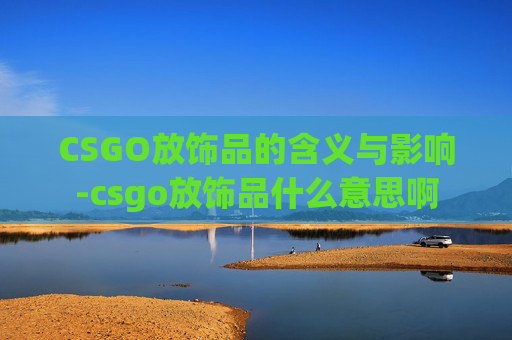 CSGO放饰品的含义与影响-csgo放饰品什么意思啊