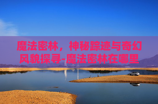 魔法密林，神秘踪迹与奇幻风貌探寻-魔法密林在哪里