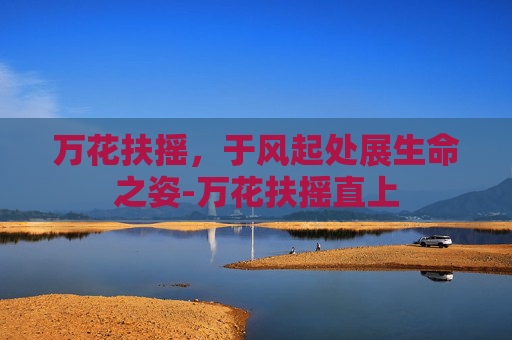 万花扶摇,于风起处展生命之姿-万花扶摇直上 万花扶摇,于风起处展生命之姿-万花扶摇直上