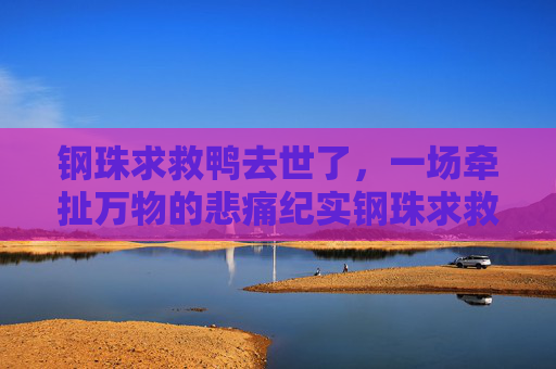 钢珠求救鸭去世了,一场牵扯万物的悲痛纪实钢珠求救鸭去世了,刺穿现实的悲剧遗证-钢珠吞进肚子了会怎样 钢珠求救鸭去世了,一场牵扯万物的悲痛纪实钢珠求救鸭去世了,刺穿现实的悲剧遗证-钢珠吞进肚子了会怎样