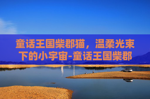 童话王国柴郡猫,温柔光束下的小宇宙-童话王国柴郡猫免费阅读 童话王国柴郡猫,温柔光束下的小宇宙-童话王国柴郡猫免费阅读
