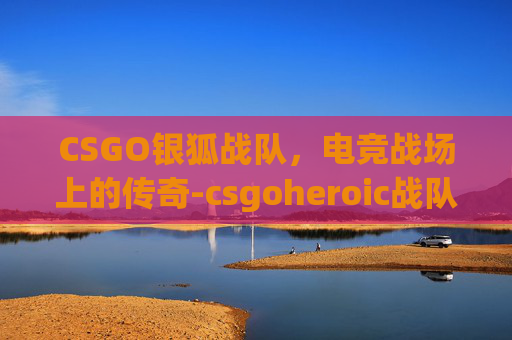 CSGO银狐战队,电竞战场上的传奇-csgoheroic战队 CSGO银狐战队,电竞战场上的传奇-csgoheroic战队