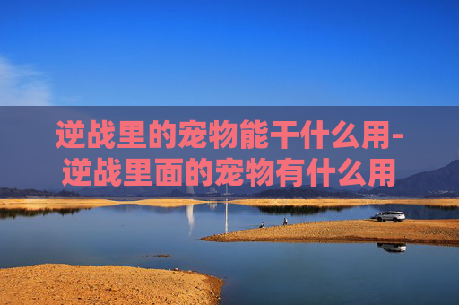 逆战里的宠物能干什么用-逆战里面的宠物有什么用 逆战里的宠物能干什么用-逆战里面的宠物有什么用