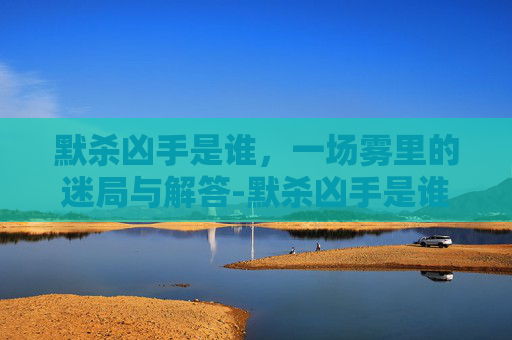 默杀凶手是谁，一场雾里的迷局与解答-默杀凶手是谁扮演的