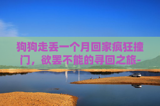 狗狗走丢一个月回家疯狂撞门,欲罢不能的寻回之旅-狗狗走丢一个月回家疯狂撞门怎么办 狗狗走丢一个月回家疯狂撞门,欲罢不能的寻回之旅-狗狗走丢一个月回家疯狂撞门怎么办