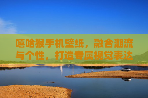 嘻哈猴手机壁纸，融合潮流与个性，打造专属视觉表达-嘻哈猴手机壁纸高清