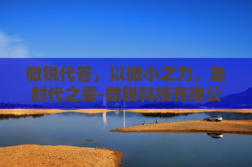 微锐代答，以微小之力，赴时代之需-微锐科技有限公司