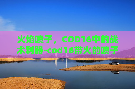 火焰喷子,COD16中的战术利器-cod16带火的喷子 火焰喷子,COD16中的战术利器-cod16带火的喷子