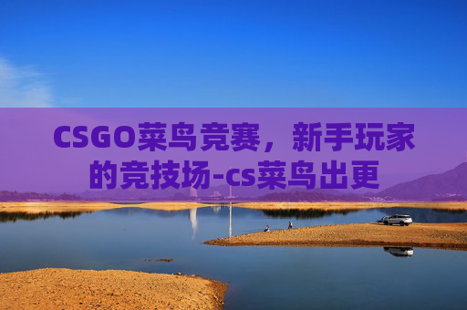 CSGO菜鸟竞赛,新手玩家的竞技场-cs菜鸟出更 CSGO菜鸟竞赛,新手玩家的竞技场-cs菜鸟出更