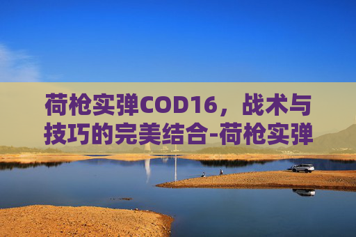 荷枪实弹COD16,战术与技巧的完美结合-荷枪实弹的荷什么意思 荷枪实弹COD16,战术与技巧的完美结合-荷枪实弹的荷什么意思