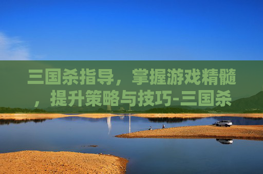 三国杀指导，掌握游戏精髓，提升策略与技巧-三国杀指南