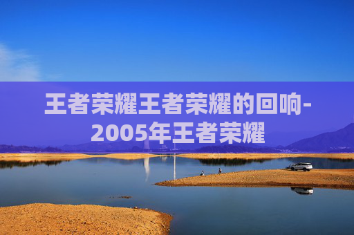 王者荣耀王者荣耀的回响-2005年王者荣耀 王者荣耀王者荣耀的回响-2005年王者荣耀